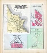Central Point Township, Belle Creek, Forest Mills, Hader, Goodhue County 1894